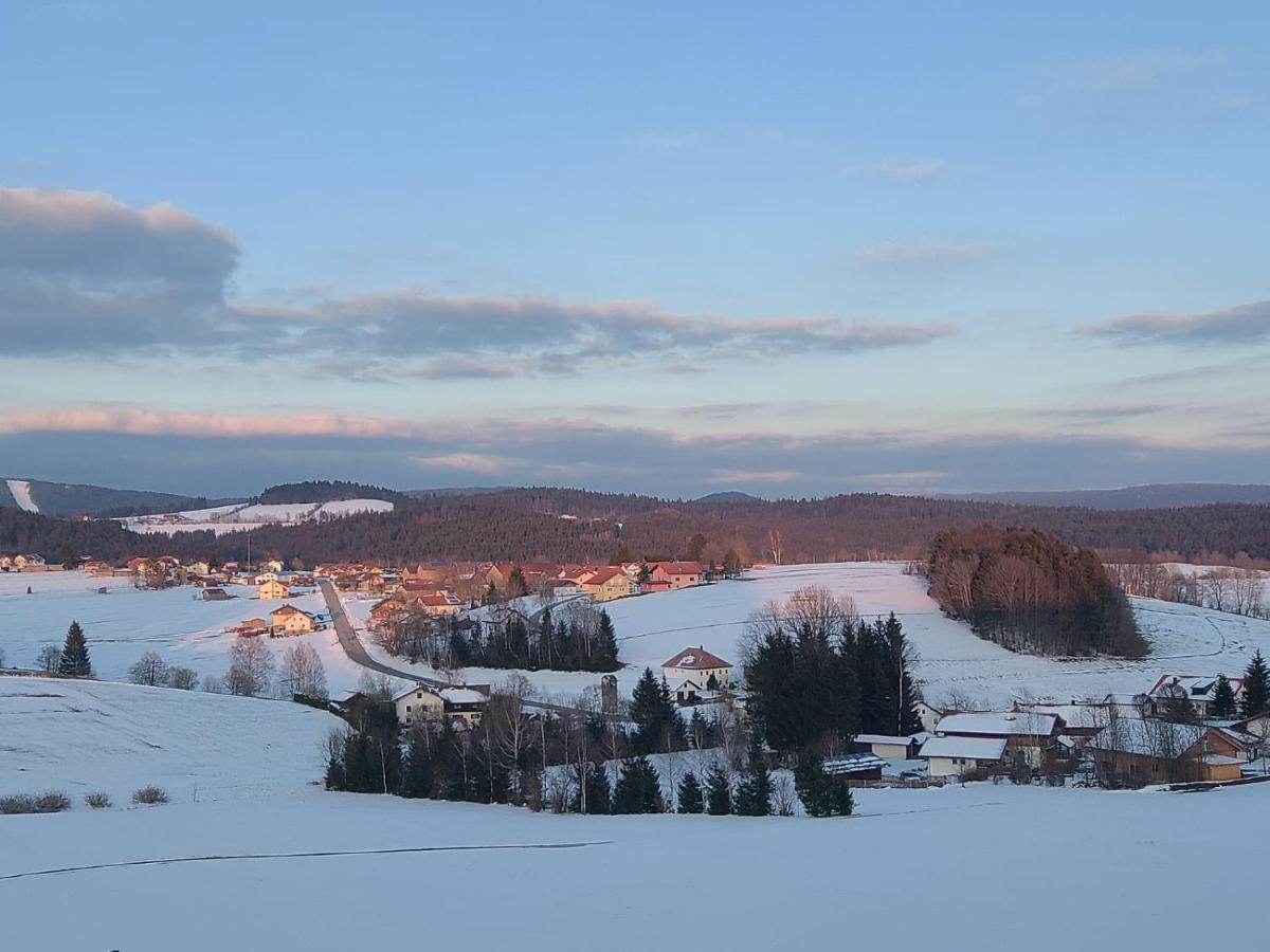 Ferienwohnung Reinhold In Schoenbrunn Am Lusen Hohenau Esterno foto